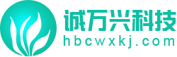 湖北诚万兴科技专注微信小程序定制开发