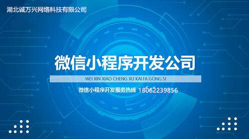 如何选择合适的小程序开发公司？