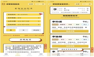 在线宝宝起名小程序付费版